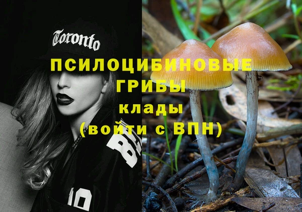 стафф Абинск