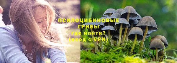 стафф Абинск