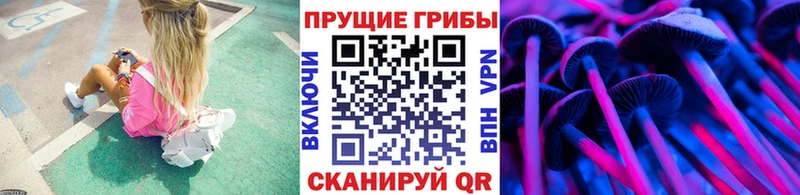 Галлюциногенные грибы MAGIC MUSHROOMS  Тихорецк 