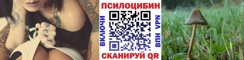 Псилоцибиновые грибы мухоморы Тихорецк